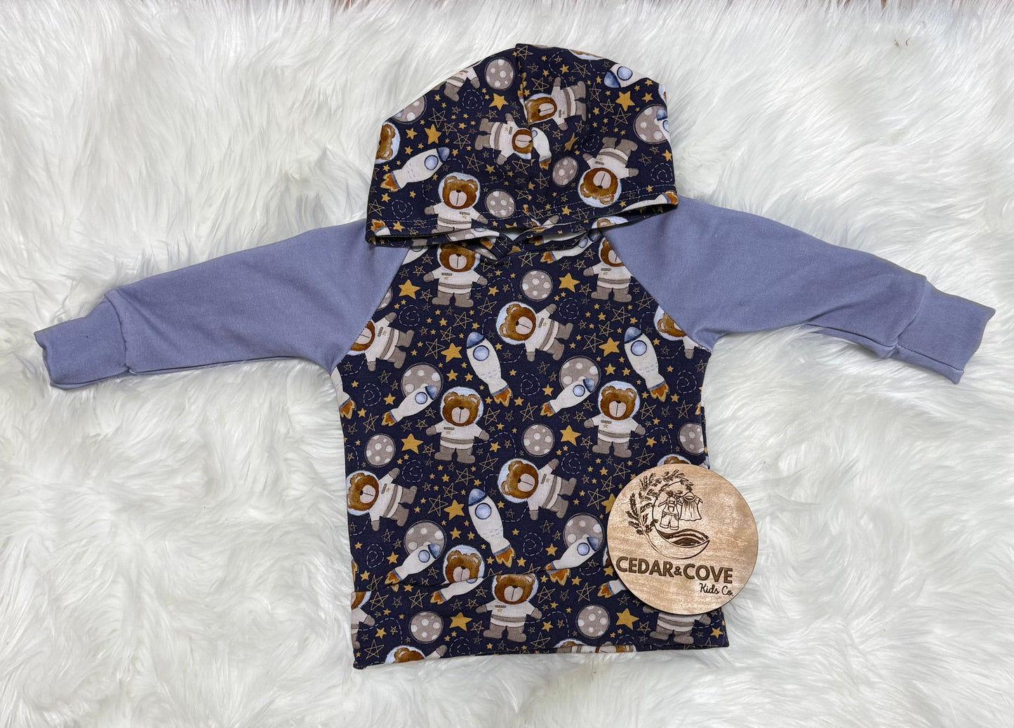 Bears in Space Hooded Raglan